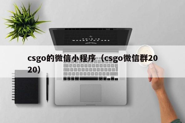 csgo的微信小程序（csgo微信群2020）