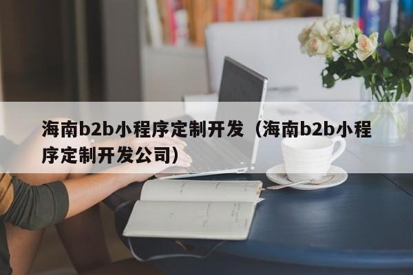 海南b2b小程序定制开发（海南b2b小程序定制开发公司）