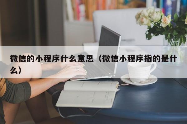 微信的小程序什么意思（微信小程序指的是什么）