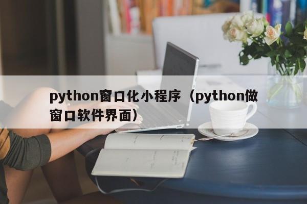 python窗口化小程序（python做窗口软件界面）