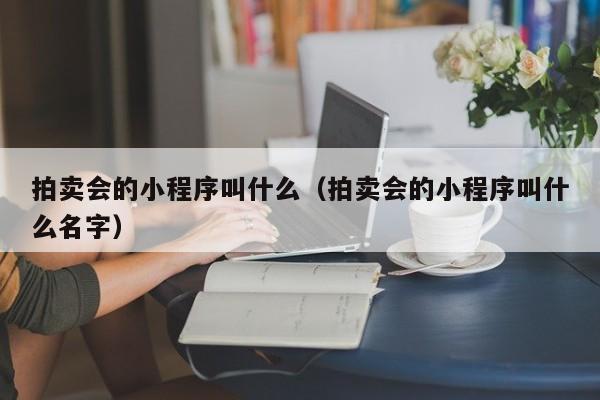 拍卖会的小程序叫什么（拍卖会的小程序叫什么名字）