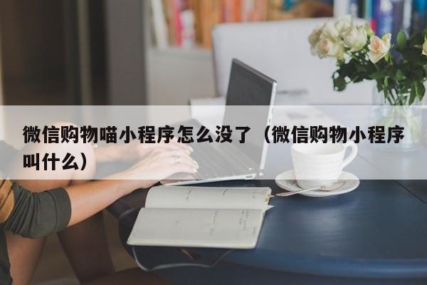 微信购物喵小程序怎么没了（微信购物小程序叫什么）