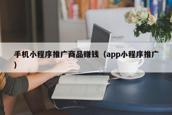 手机小程序推广商品赚钱（app小程序推广）