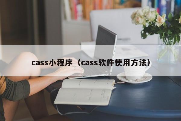 cass小程序（cass软件使用方法）
