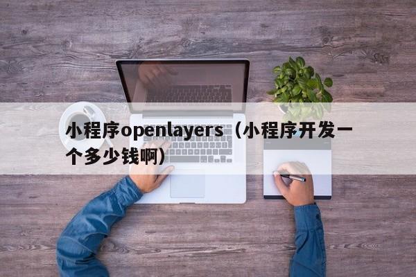 小程序openlayers（小程序开发一个多少钱啊）