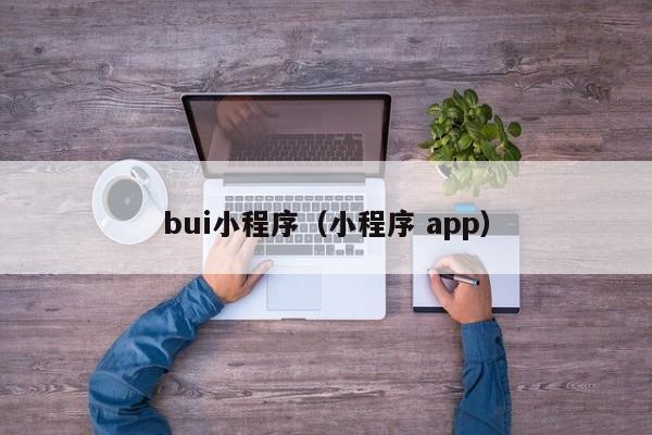 bui小程序（小程序 app）