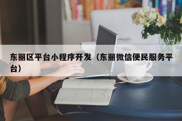 东丽区平台小程序开发（东丽微信便民服务平台）