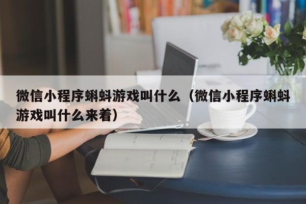 微信小程序蝌蚪游戏叫什么（微信小程序蝌蚪游戏叫什么来着）