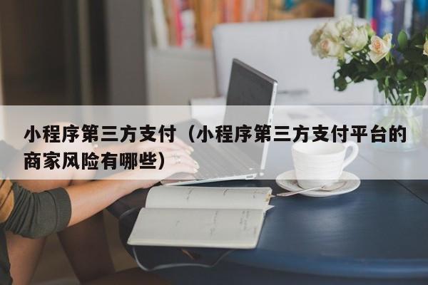 小程序第三方支付（小程序第三方支付平台的商家风险有哪些）