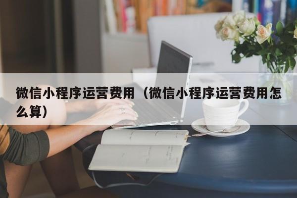 微信小程序运营费用（微信小程序运营费用怎么算）