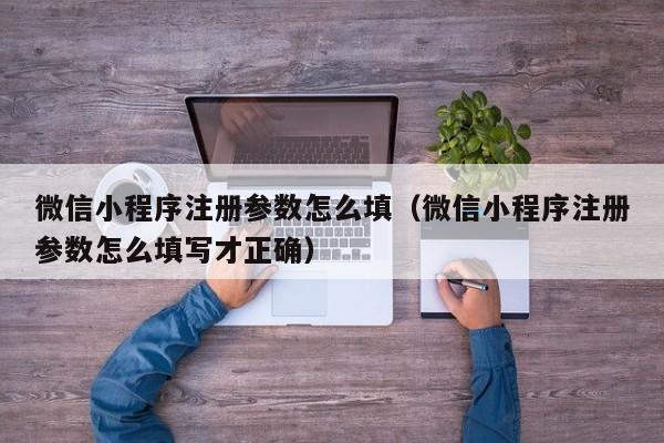 微信小程序注册参数怎么填（微信小程序注册参数怎么填写才正确）