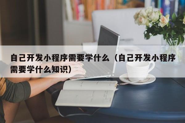 自己开发小程序需要学什么（自己开发小程序需要学什么知识）