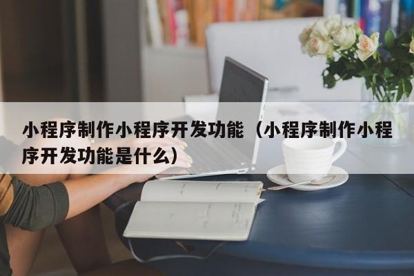 小程序制作小程序开发功能（小程序制作小程序开发功能是什么）