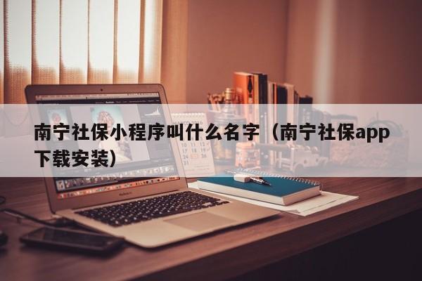 南宁社保小程序叫什么名字（南宁社保app下载安装）