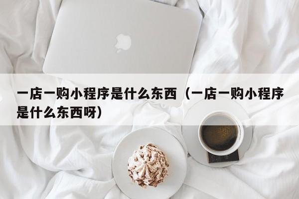 一店一购小程序是什么东西（一店一购小程序是什么东西呀）