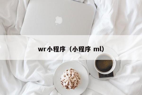 wr小程序（小程序 ml）