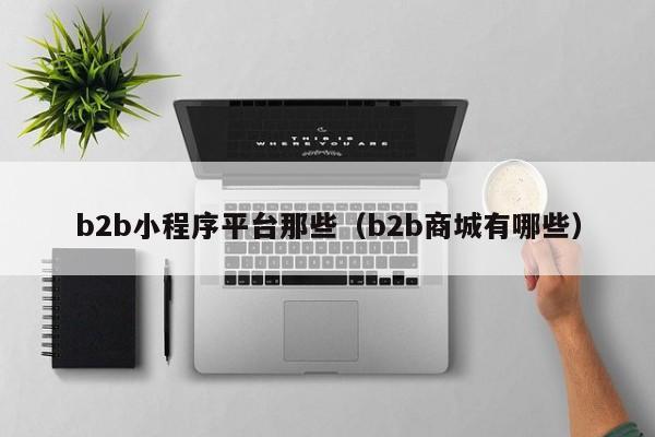 b2b小程序平台那些（b2b商城有哪些）