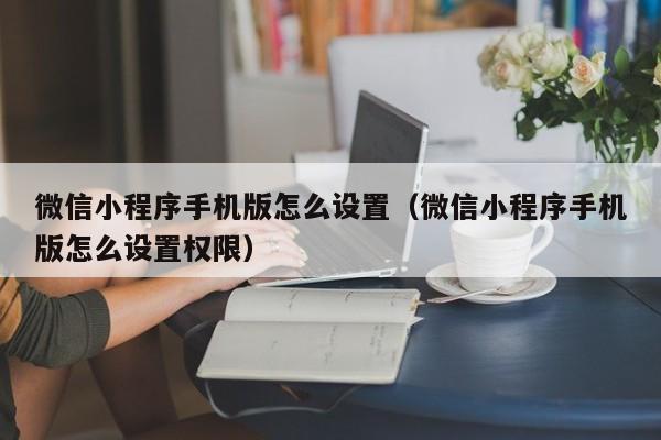 微信小程序手机版怎么设置（微信小程序手机版怎么设置权限）