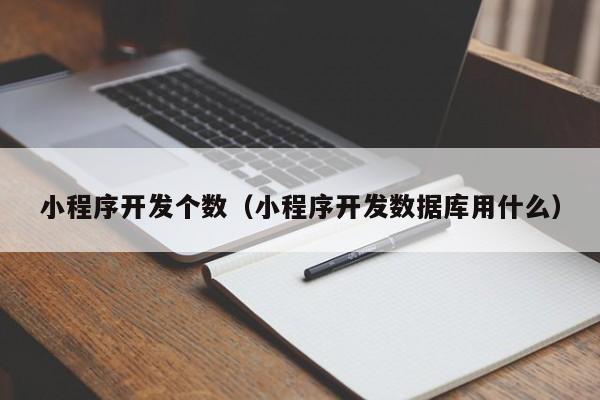 小程序开发个数（小程序开发数据库用什么）