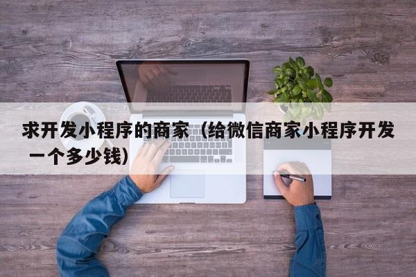 求开发小程序的商家（给微信商家小程序开发 一个多少钱）