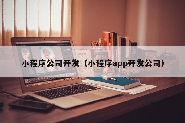 小程序公司开发（小程序app开发公司）