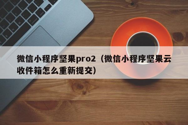 微信小程序坚果pro2（微信小程序坚果云收件箱怎么重新提交）