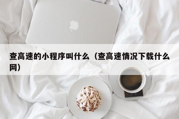 查高速的小程序叫什么（查高速情况下载什么网）