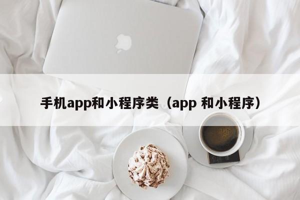 手机app和小程序类（app 和小程序）