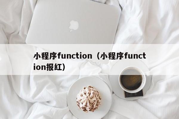 小程序function（小程序function报红）