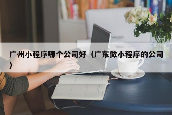 广州小程序哪个公司好（广东做小程序的公司）