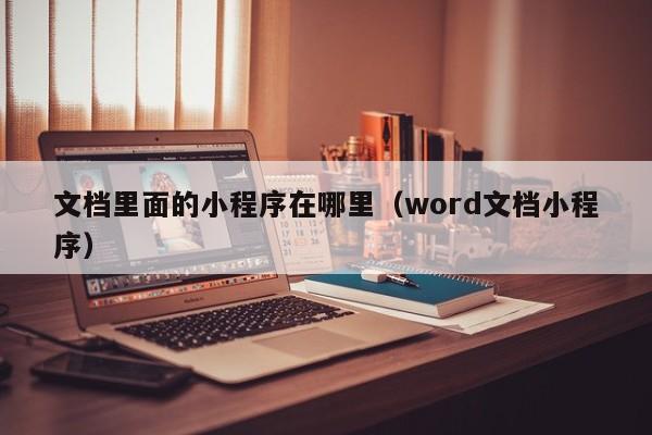 文档里面的小程序在哪里（word文档小程序）