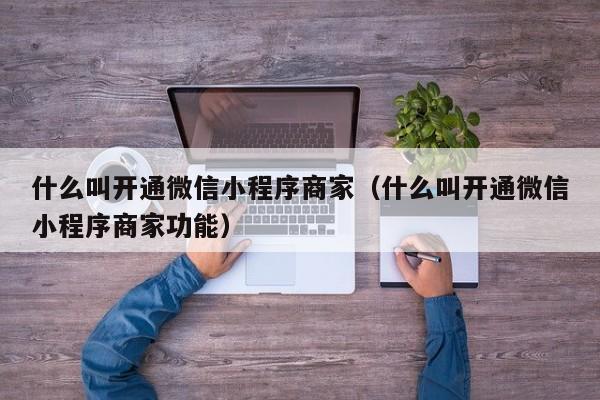 什么叫开通微信小程序商家（什么叫开通微信小程序商家功能）