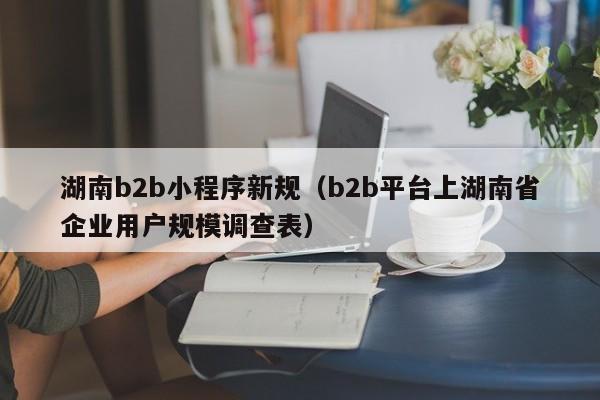 湖南b2b小程序新规（b2b平台上湖南省企业用户规模调查表）