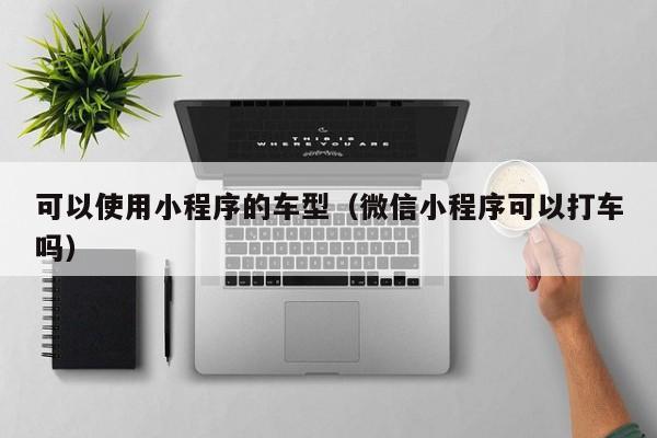 可以使用小程序的车型（微信小程序可以打车吗）