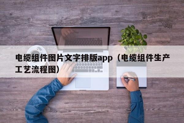 电缆组件图片文字排版app（电缆组件生产工艺流程图）