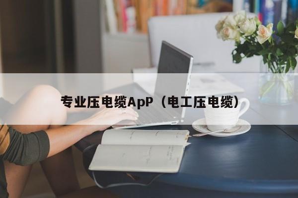 专业压电缆ApP（电工压电缆）